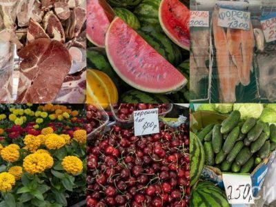 Фрукты, овощи, мясо, рыба и рассада: обзор цен на Крестьянском рынке Якутска