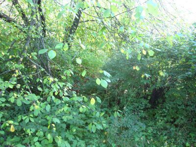 Памятный знак-стела на месте сожженной фашистами д. Агакули