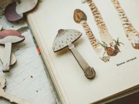 Деревянная брошка Дворникова А. "Гриб-зонтик"