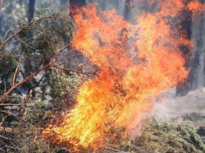 В Верхоянском улусе локализовано два лесных пожара