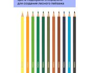 Набор карандашей цветных Гамма "Хобби. Лесной пейзаж" 12 цв.,заточен., ПВХ, европодвес