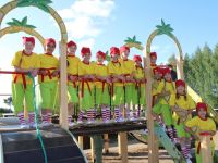 Дубровский сельский дом культуры