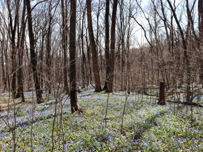 Ландшафтно-археологический комплекс "Вантит"