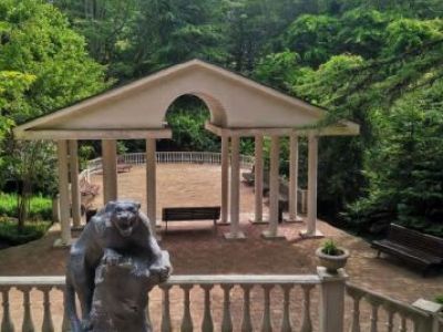 Тиссо-самшитовая роща