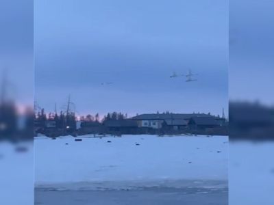 Лебеди вернулись спустя 30 лет в якутское село Едей UPD