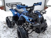 Квадроцикл MOTOLAND 125 Fox A