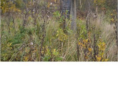 Родина рабочего революционера П.А. Алексеева, сохранился фундамент дома