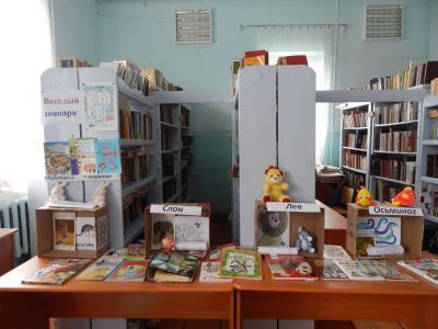 Шакарлинская сельская библиотека