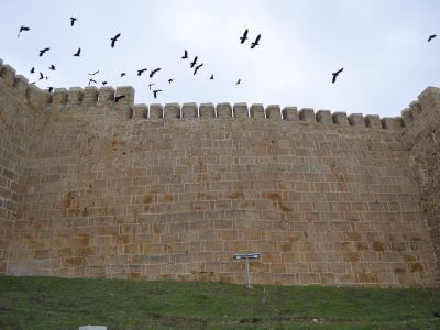 Прясло стены между башней № 3 и башней № 4