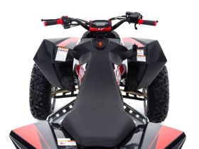 Квадроцикл SHARMAX GX-Cruiser 320  (2024)