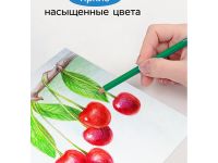 Набор карандашей цветных Гамма "Классические" 6 цв., заточен., картон. упаковка, европодвес