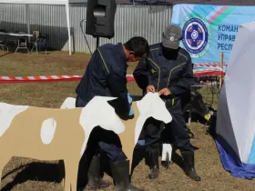 Командно-штабные учения ветеринарных служб прошли в Якутии