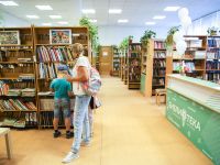 Библиотека № 253