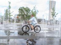 Электровелосипед Alpine Bike Alpinebike Dammastock, год 2025, цвет Коричневый, ростовка 20