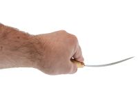 Филейный нож Rapala FNF6, нержавеющая сталь, лакированная береза