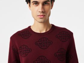 Мужской свитер Lacoste стандартного кроя