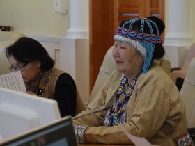 В Якутии численность оленей увеличилась до 162 тысяч голов