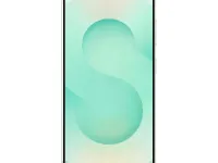 Samsung Galaxy S25 12/512Gb (Mint)