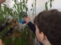 Библиотека-филиал № 1 с. Балахтон