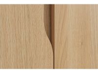 Распашной шкаф Ренар 2.1-100x260 Дуб Барбера