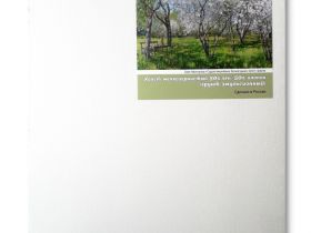 Холст на подрамнике грунтованный Реалистик СПЕКТР мелкозернистый 60x70 см