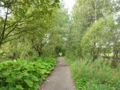 Дача Толстого («Марьино»)