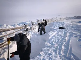 В тундровой зоне Якутии завершили весеннюю корализацию оленей