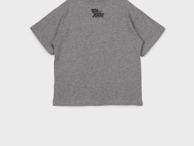 Фуфайка трикотажная для мальчиков (футболка)