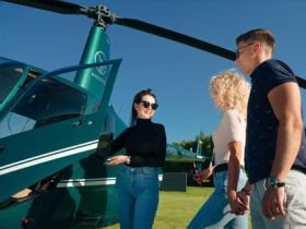 Полет на вертолете Robinson R44