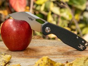 Нож складной Firebird by Ganzo FH924-BK, сталь D2, рукоять G10, черный