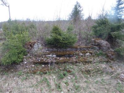 Дом усадебный