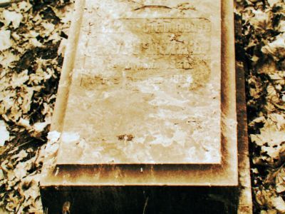 Могила Курочкина Н.С. (1830-1884), поэта (надгробие)