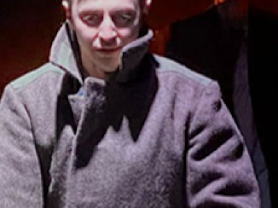 Бессмертники