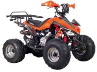 Квадроцикл ABM Scorpion 125A