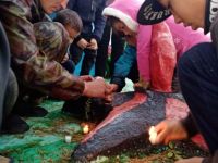 библиотека с. Новоильинск