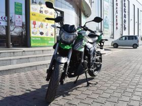 Мотоцикл REGULMOTO T-Leopard 300