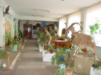 Зоологический музей Дагестанского государственного университета