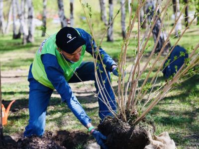 «Таас-Юрях Нефтегазодобыча» реализует экологические мероприятия