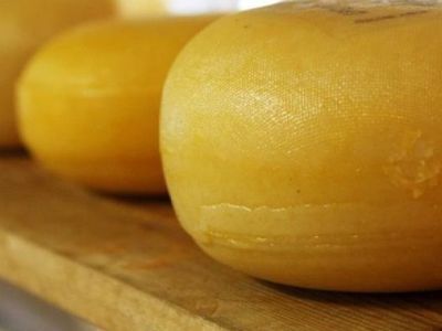 Роскачество опубликовало результаты исследования сыра