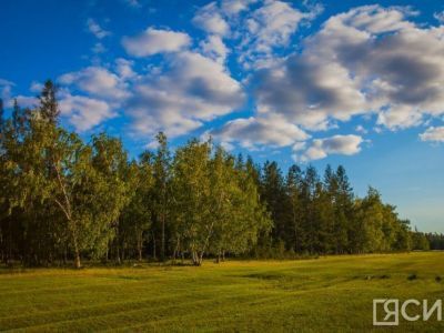 Что можно и нельзя делать 10 июня 2024 года: народные приметы и традиции