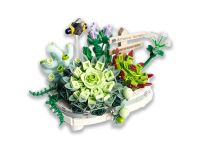 1660_MK Конструктор Суккуленты