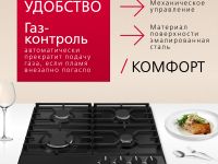 Газовая панель Hansa BHGS630301