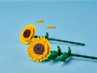 Botanicals 40524 Сувенирный набор Подсолнухи