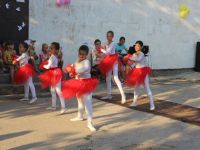 Софиевский сельский дом культуры