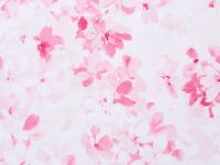 Скатерть Нежность/Tenerezze