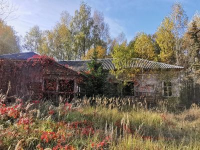 Усадьба Надеждино. Здесь в 1838-1844 гг. жил декабрист Норов В.С.