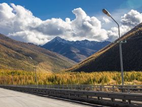 Автопутешествие "Якутск - Оймякон - Магадан" (Летний сезон)