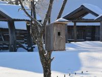 Этнографический музей под открытым небом им. В. И. Романова