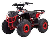 Квадроцикл RAPTOR Dux Lux 8