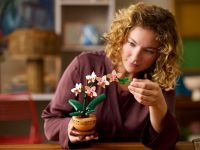 Коллекционные наборы 10343 Конструктор Мини-орхидея